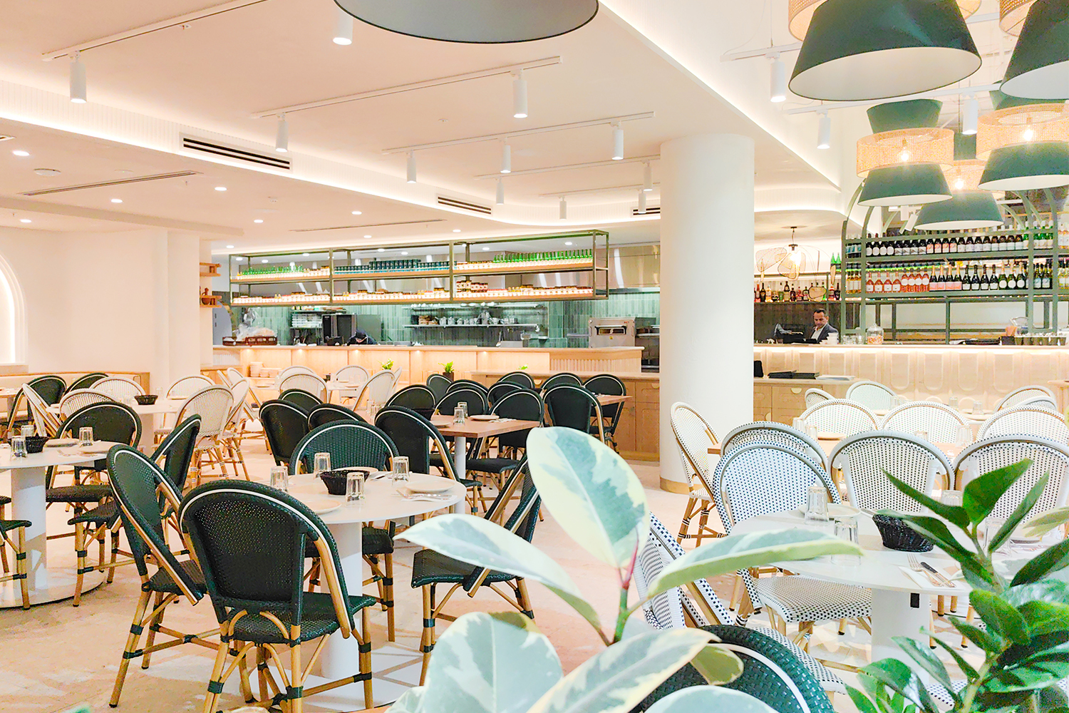 Al Aseel, Chatswood Trend Lighting